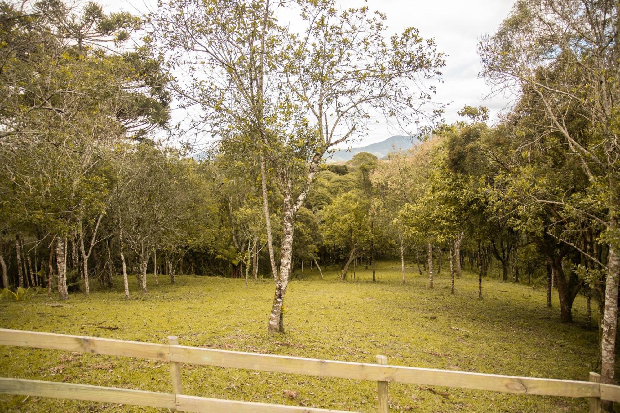 Cabana Com Hidromassagem Bom Retiro  Zewnętrze zdjęcie
